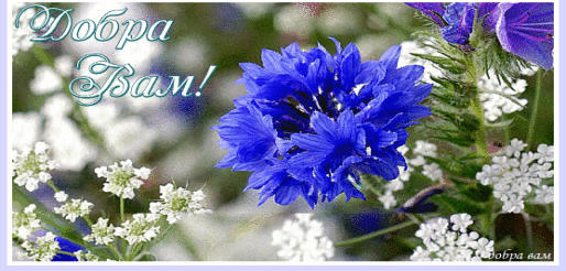 Открытки с васильковым полем скачать бесплатно. Открытки с васильковым полем ...