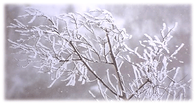 Открытки с зимней природой скачать бесплатно. Открытки с зимней природой онлайн.
