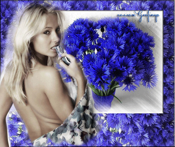 Открытки с букетом васильков скачать бесплатно. Открытки с букетом васильков ...