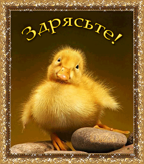  Скачать  красивые  Открытки с  приветствием  бесплатно gif.