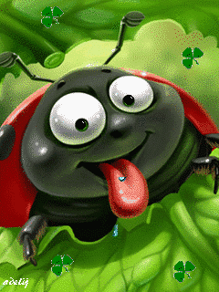 Открытки с божьей коровкой скачать бесплатно. Открытки с божьей коровкой онлайн.