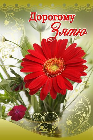 Открытки с днём рождения зятя скачать бесплатно. Открытки с днём рождения зят...