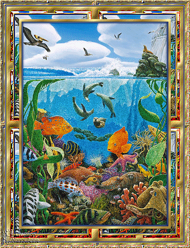 Открытки с подводным миром скачать. Открытки с подводным миром бесплатно.