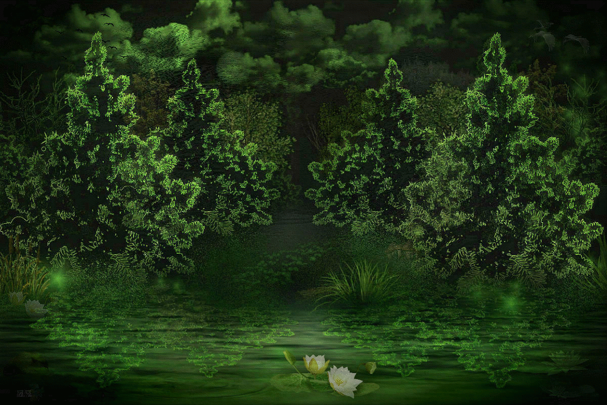 Открытки с летним лесом бесплатно онлайн. Красивые открытки с лесом.