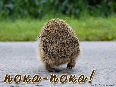 Открытки с прощанием с текстом пока пока