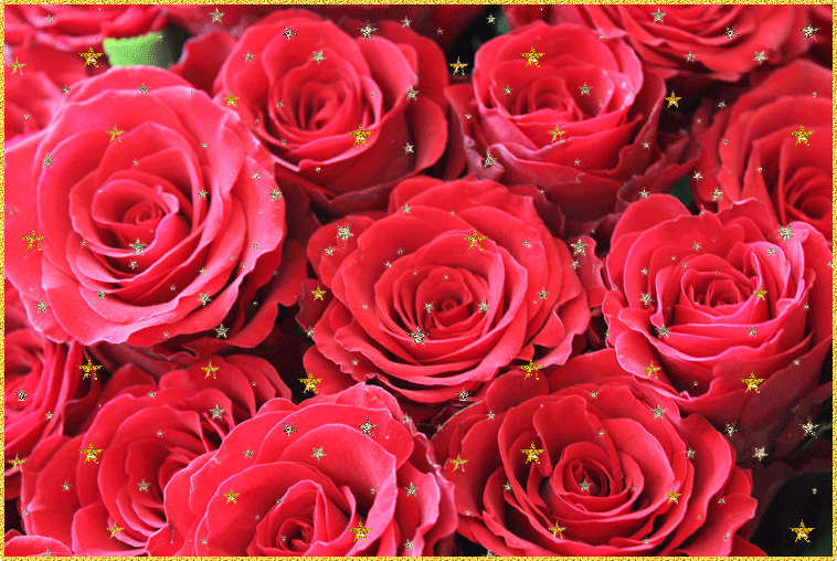 Открытки с красными розами скачать. Открытки с красными розами с пожеланиями.