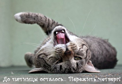 Открытки на четверг скачать. Открытки на четверг бесплатно онлайн.