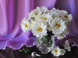 Открытки с букетом ромашек скачать бесплатно. Открытки с букетом ромашек онлайн.