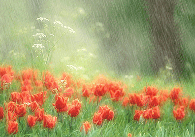 Открытки с дождём скачать бесплатно. Открытки с дождём с анимациями.