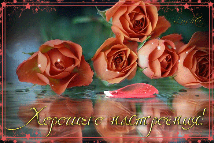 Самые лучшие Открытки хорошего настроения скачать бесплатно.