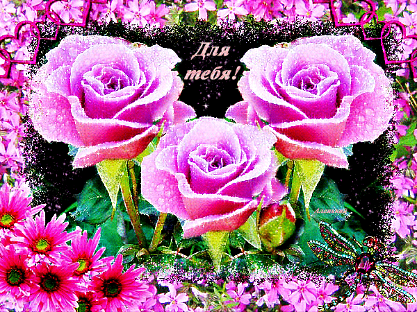 Скачать бесплатно анимационные открытки с цветами. Красивые открытки с цветами.
