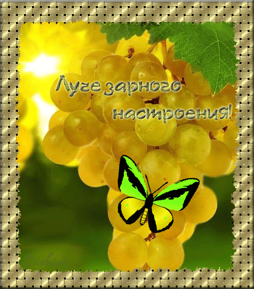 Самые лучшие Открытки хорошего настроения скачать бесплатно.