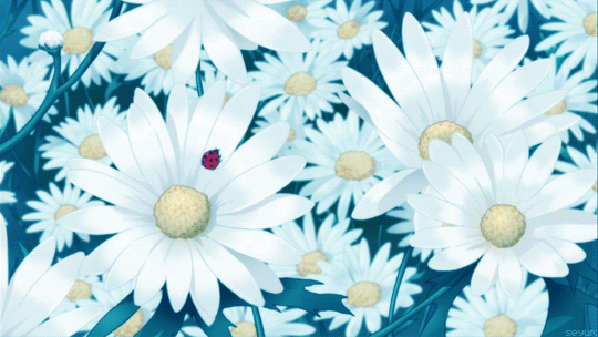 Открытки с божьей коровкой скачать бесплатно. Открытки с божьей коровкой онлайн.