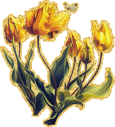 Открытки с желтыми тюльпанами красивые. Открытки с желтыми тюльпанами с анима...