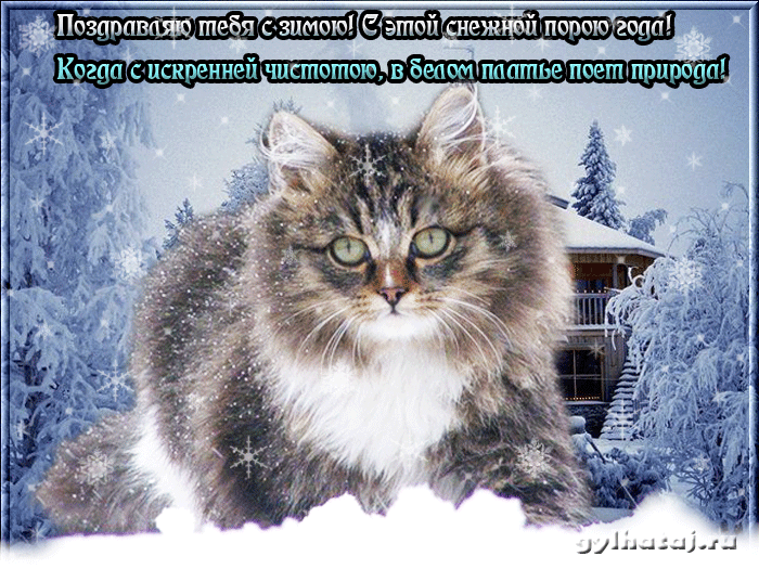 Открытки со стихами о зиме с анимациями. Открытки со стихами о зиме gif.