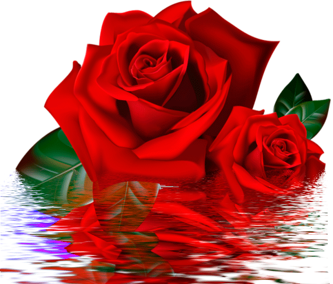 Открытки с красными розами скачать. Открытки с красными розами с пожеланиями.