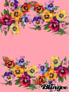 Открытки с разноцветными анютиными глазками скачать бесплатно.