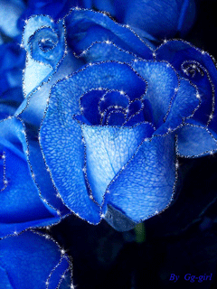 Открытки с синими розами скачать бесплатно. Открытки с синими розами онлайн.