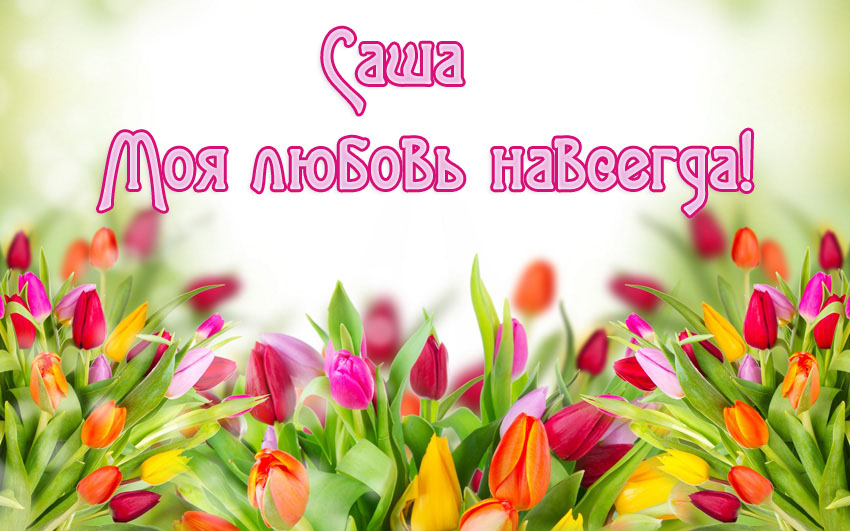 Открытки с именем Александра скачать бесплатно. Поздравительные открытки с им...