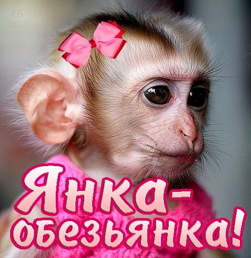 Открытки с именем Яна скачать бесплатно. Поздравительные открытки с именем Яна.