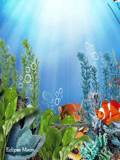 Открытки с подводным миром скачать. Открытки с подводным миром бесплатно.