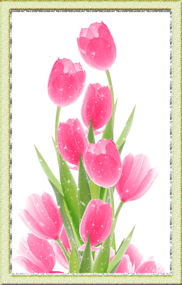 Нежные открытки с розовыми тюльпанами. Открытки с розовыми тюльпанами скачать.