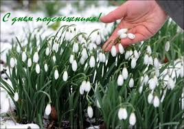 Открытки с днём подснежника gif. Открытки с днём подснежника скачать.