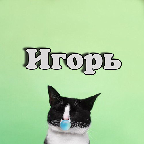 Открытки с именем Игорь скачать бесплатно. Открытки с именем Игорь с анимациями.