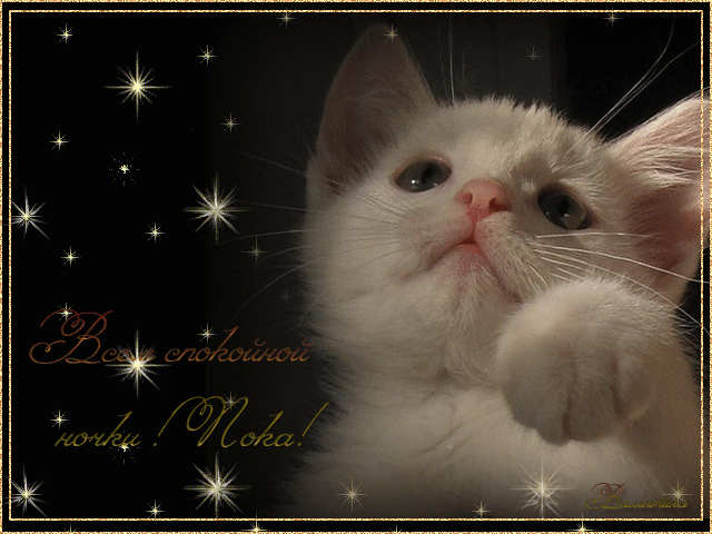 Открытки с прощанием скачать бесплатно. Открытки до свидания с анимациями.