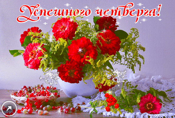 Привет четверг. Открытки с приколами и пожеланиями на четверг