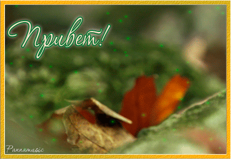  Скачать  красивые  Открытки с  приветствием  бесплатно gif.