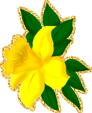 Открытки с желтыми нарциссами скачать бесплатно. Открытки с желтыми нарциссам...