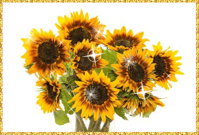 Открытки с подсолнухами скачать бесплатно. Открытки с подсолнухами gif.