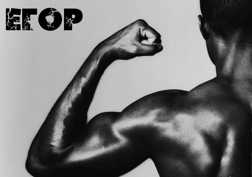 Открытки с именем Егор скачать бесплатно. Открытки с именем Егор gif.