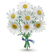 Открытки с букетом ромашек скачать бесплатно. Открытки с букетом ромашек онлайн.
