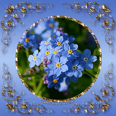 Открытки с незабудками бесплатно. Открытки с незабудками анимационные.