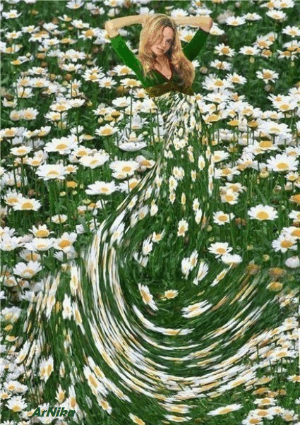 Открытки с ромашковым полем с анимациями. Открытки с ромашковым полем gif.