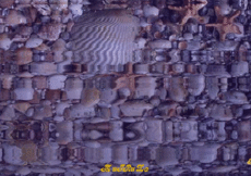 Открытки с рыбами скачать бесплатно. Открытки с рыбами gif. 