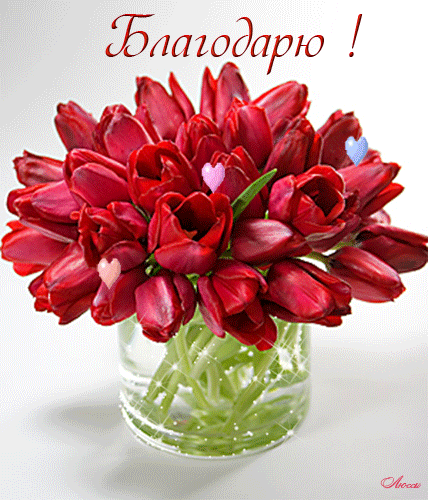 Открытки с красными тюльпанами скачать. Открытки с красными тюльпанами с аним...