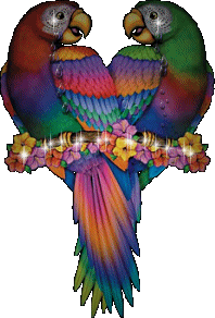 Открытки с попугаями скачать. Открытки с попугаями бесплатно.