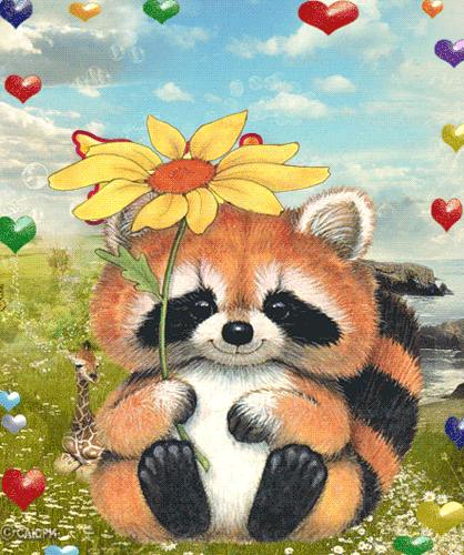 Открытки с енотами скачать бесплатно. Открытки с енотами gif.