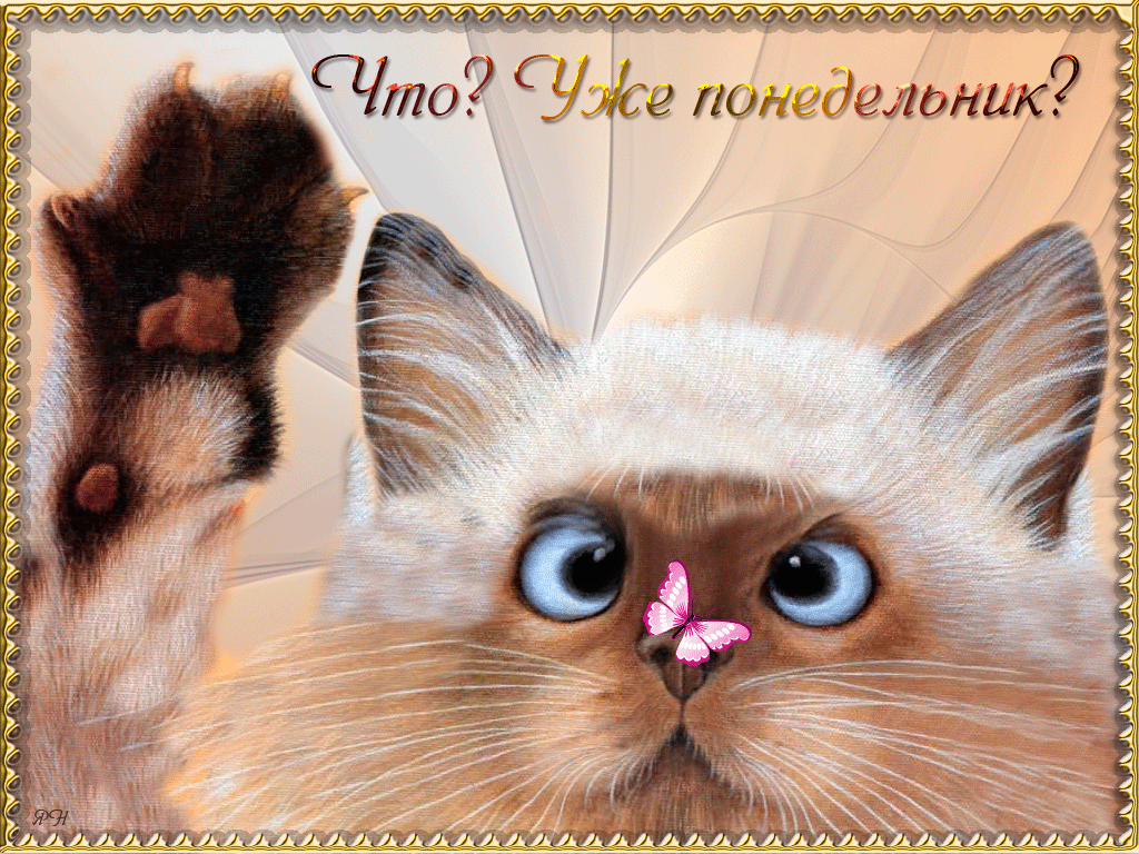 Открытки на понедельник скачать. Открытки на понедельник бесплатно.