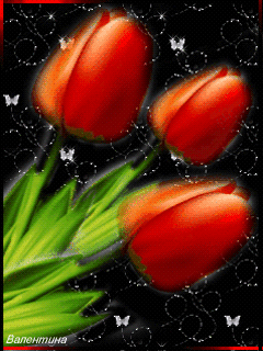 Открытки с красными тюльпанами скачать. Открытки с красными тюльпанами с аним...