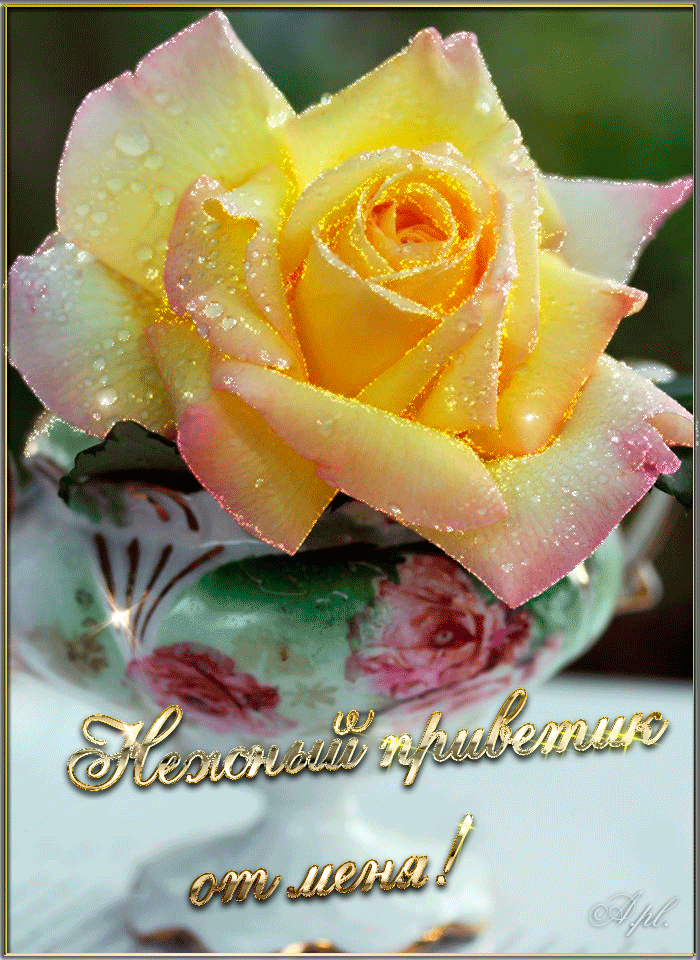 Открытки с желтыми розами скачать. Анимационные открытки с желтыми розами.