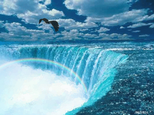 Открытки с парящими в небе птицами скачать бесплатно. Открытки с парящими в н...