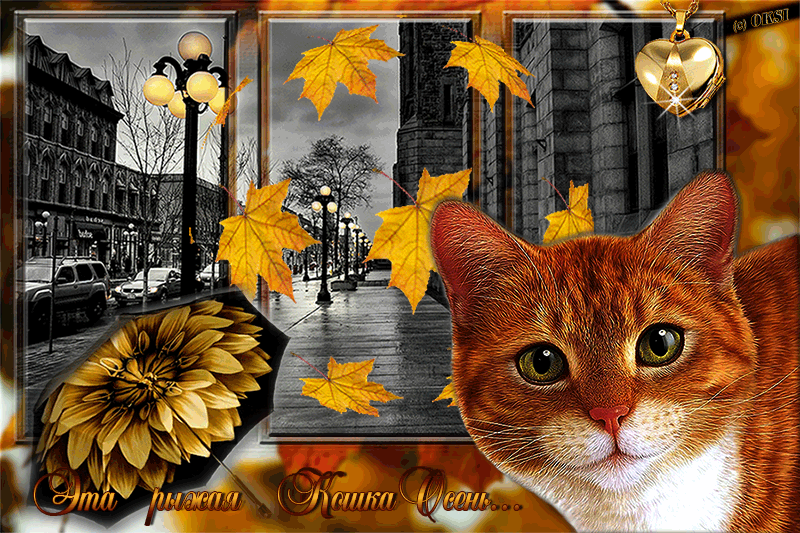 С первым вечером октября. Осенние гифы. Открытки осень. Красивые осенние открытки. С первым осенним вечером.