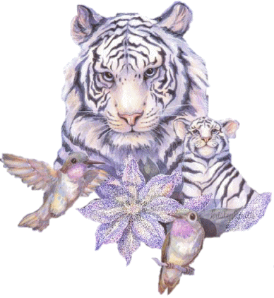 Открытки с белым тигром скачать. Открытки с белым тигром бесплатно.