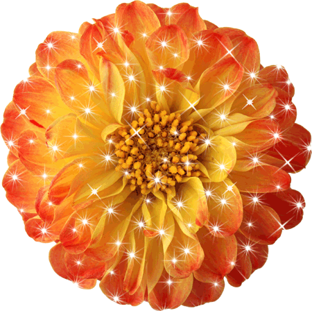 Открытки с бархатцами онлайн бесплатно. Открытки с бархатцами скачать.