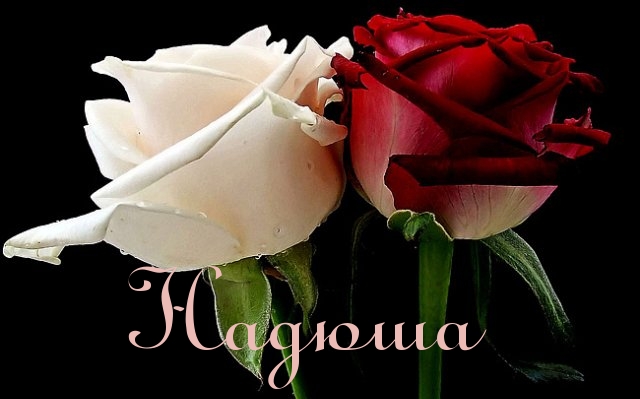 Открытки с именем Надежда скачать бесплатно. Красивые открытки с именем Надежда.