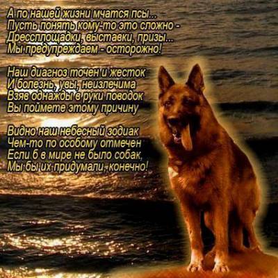 Открытки с днём кинолога скачать бесплатно. Открытки с днём кинолога 21 июня.